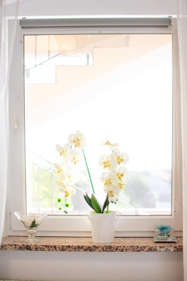Apartman App Roko 2 *