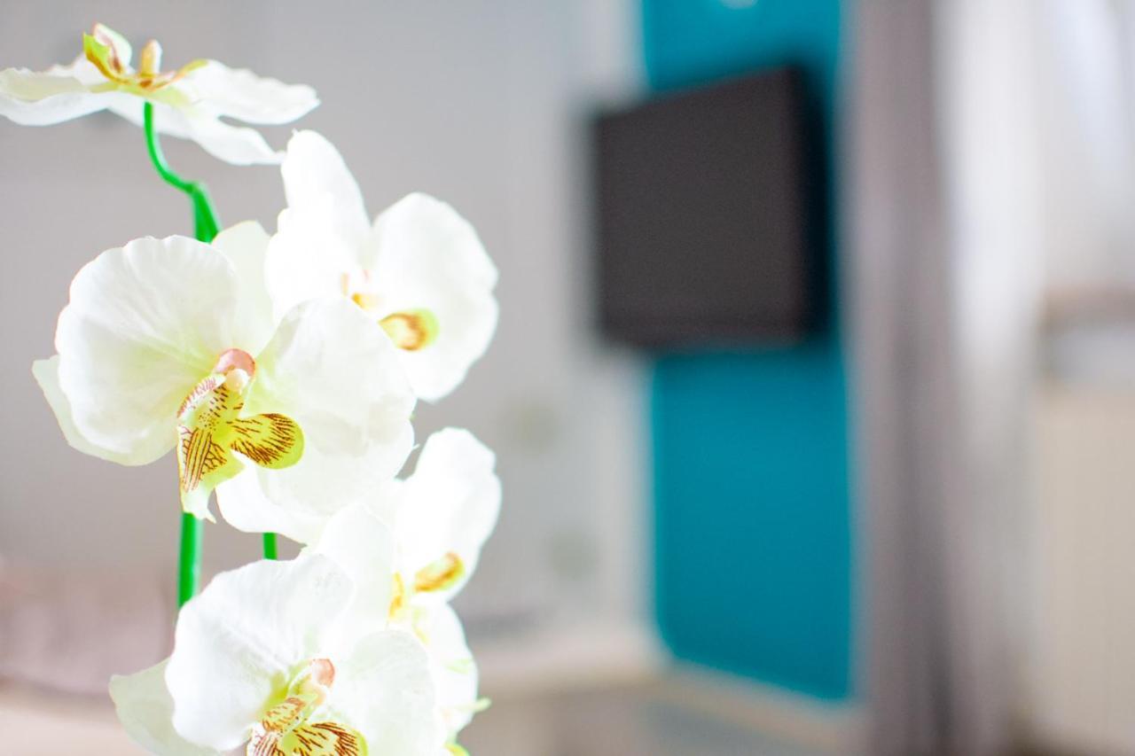 Appartement App Roko 2 *